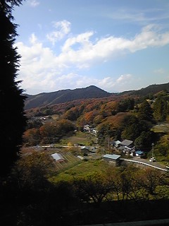 101126_1204~01.jpg