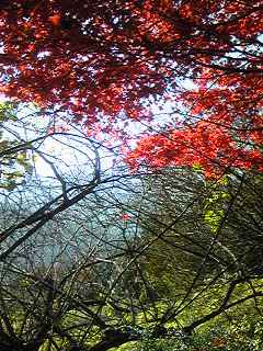 101126_1215~03.jpg