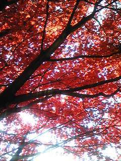 101126_1216~01.jpg
