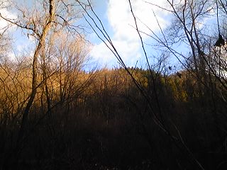 110102_1458~01.jpg