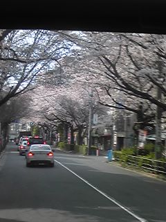110408.jpg