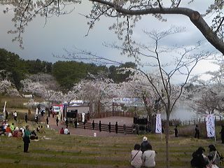 110504_0941~01.jpg