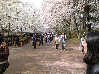 110504_1502~02.jpg
