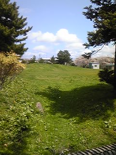110505_1027~03.jpg