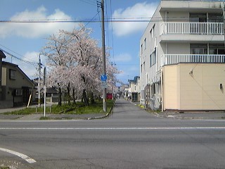 110505_1028~01.jpg